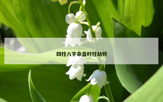 四柱八字命盘时柱劫财