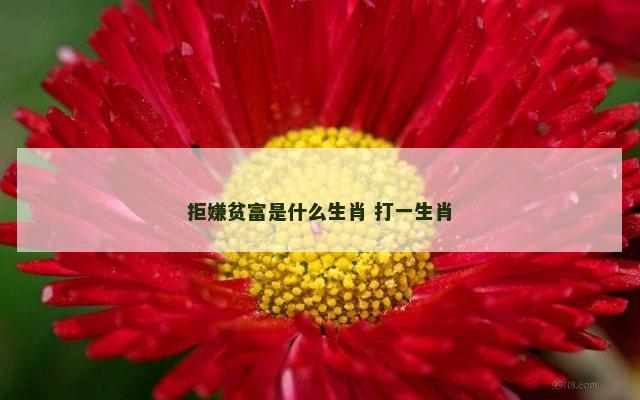 拒嫌贫富是什么生肖 打一生肖