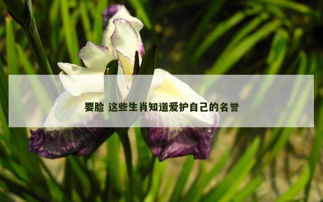 要脸 这些生肖知道爱护自己的名誉