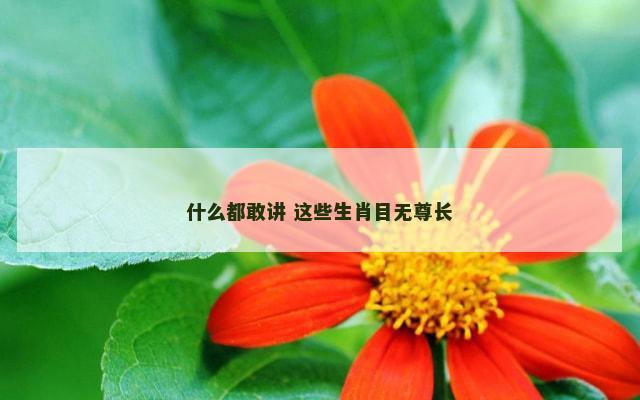 什么都敢讲 这些生肖目无尊长
