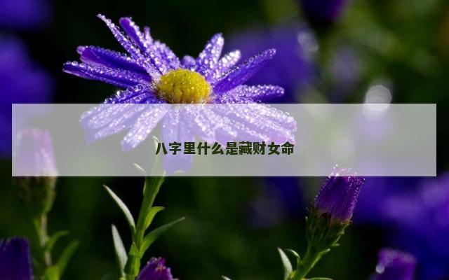八字里什么是藏财女命