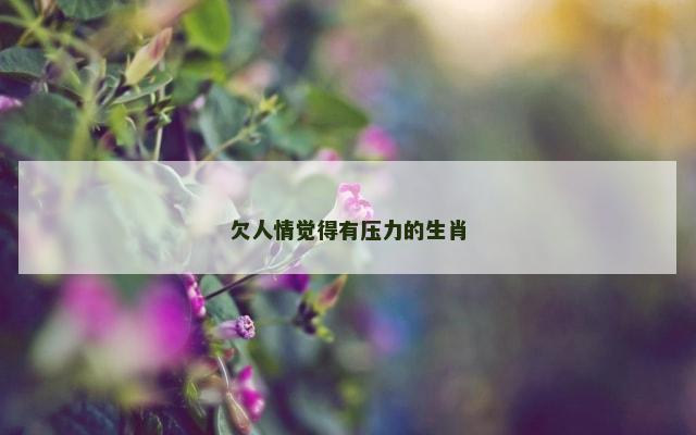 欠人情觉得有压力的生肖