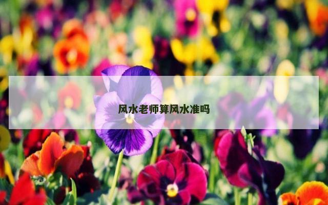 风水老师算风水准吗