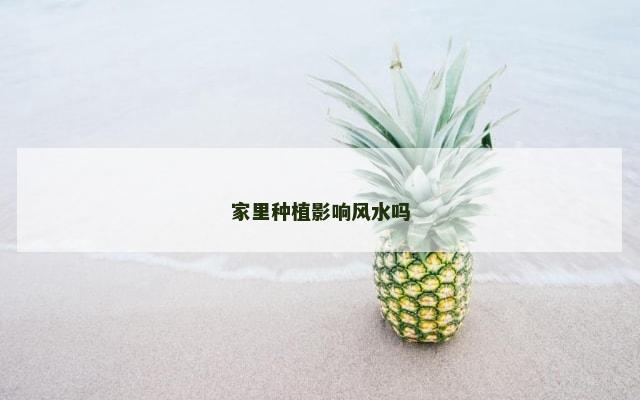家里种植影响风水吗