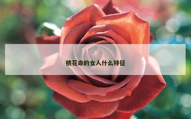 桃花命的女人什么特征