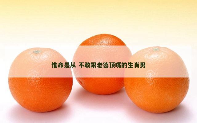 惟命是从 不敢跟老婆顶嘴的生肖男