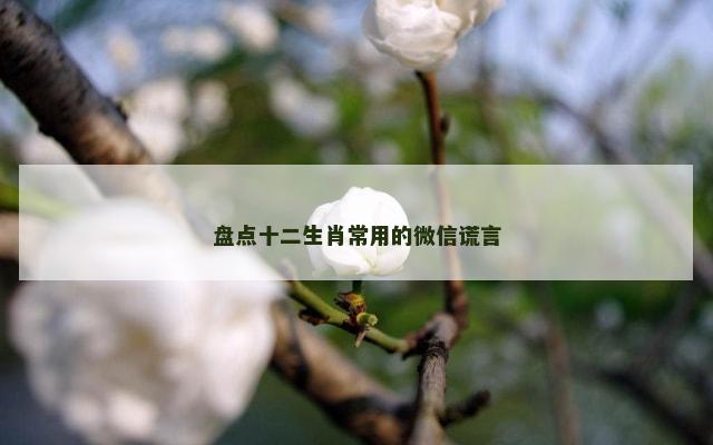 盘点十二生肖常用的微信谎言