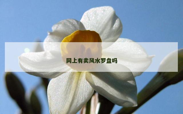 网上有卖风水罗盘吗