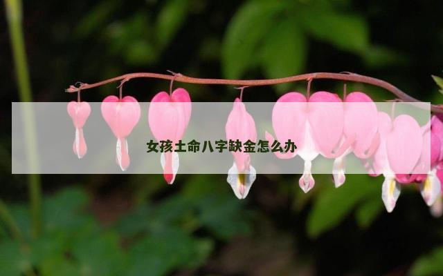 女孩土命八字缺金怎么办