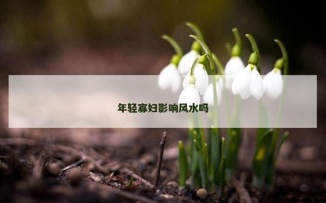 年轻寡妇影响风水吗