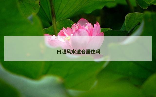 日照风水适合居住吗