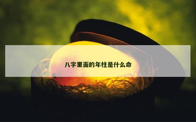 八字里面的年柱是什么命