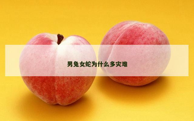 男兔女蛇为什么多灾难