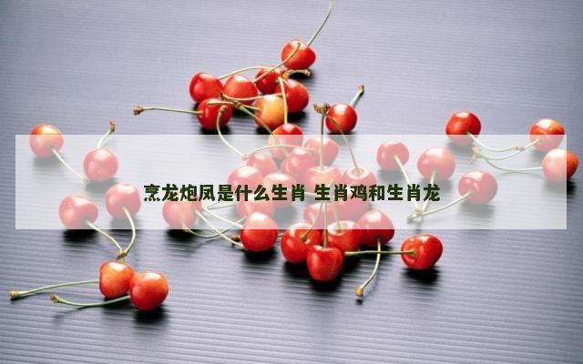 烹龙炮凤是什么生肖 生肖鸡和生肖龙