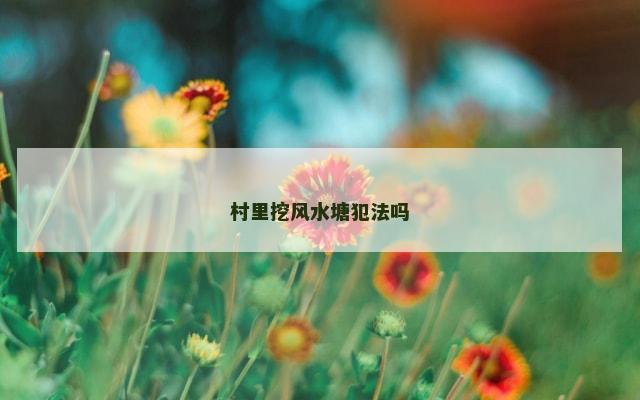 村里挖风水塘犯法吗