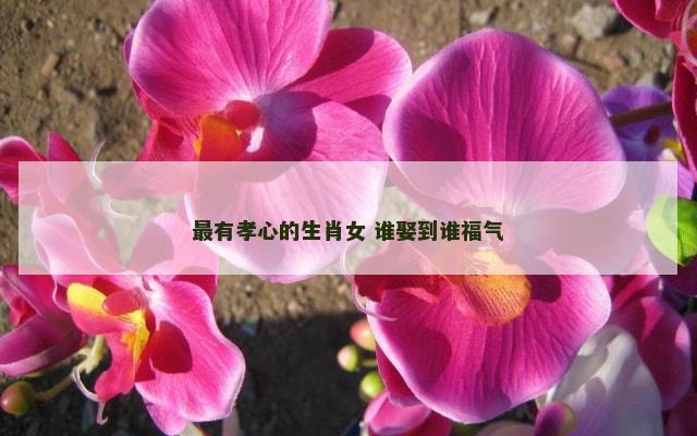 最有孝心的生肖女 谁娶到谁福气
