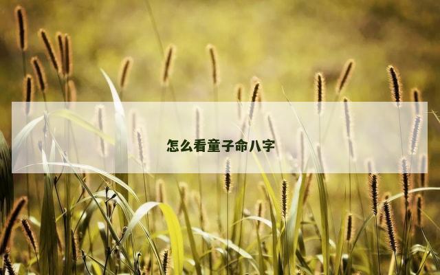 怎么看童子命八字