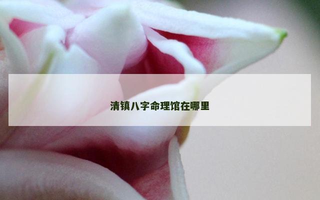清镇八字命理馆在哪里