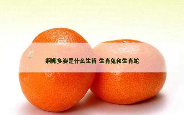 婀娜多姿是什么生肖 生肖兔和生肖蛇