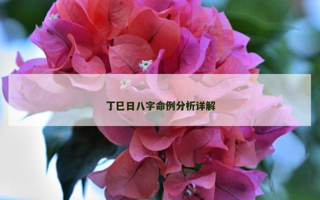 丁巳日八字命例分析详解