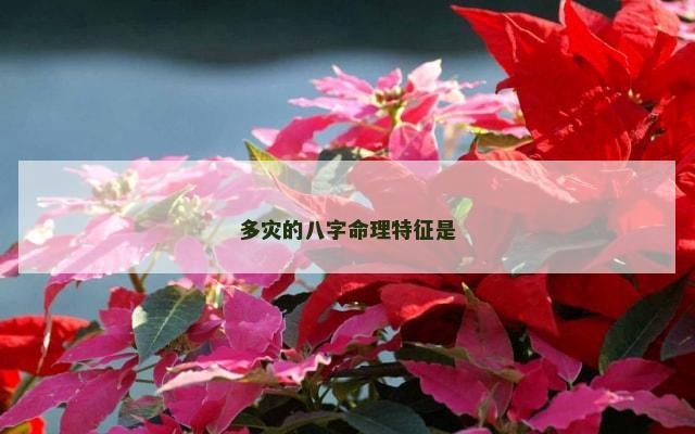 多灾的八字命理特征是