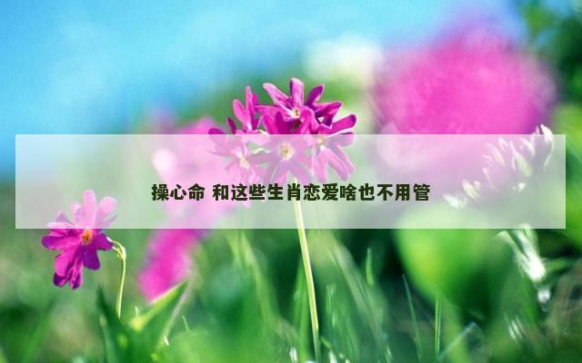 操心命 和这些生肖恋爱啥也不用管