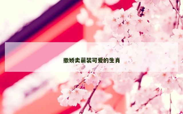 撒娇卖萌装可爱的生肖