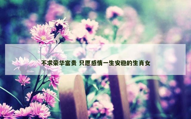 不求荣华富贵 只愿感情一生安稳的生肖女