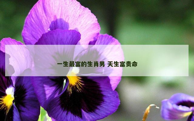 一生最富的生肖男 天生富贵命