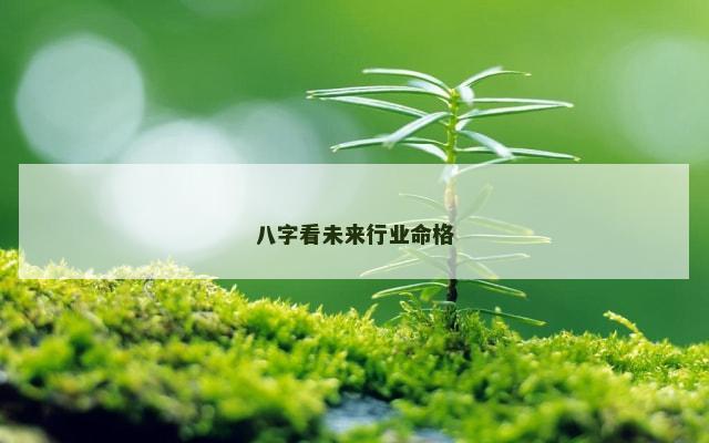 八字看未来行业命格