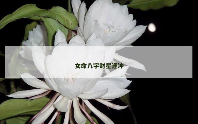 女命八字财星逢冲
