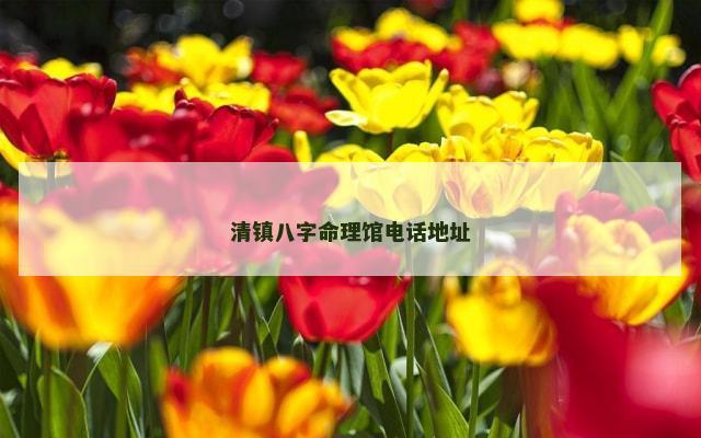 清镇八字命理馆电话地址