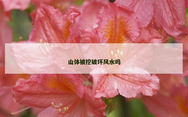 山体被挖破坏风水吗