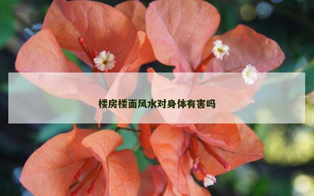 楼房楼面风水对身体有害吗