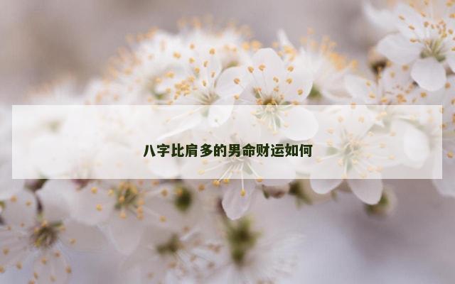 八字比肩多的男命财运如何