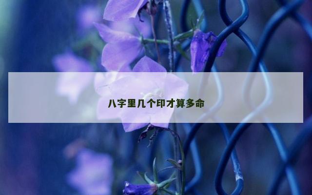 八字里几个印才算多命