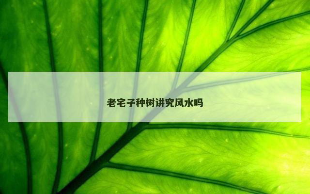 老宅子种树讲究风水吗