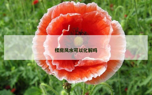 楼房风水可以化解吗