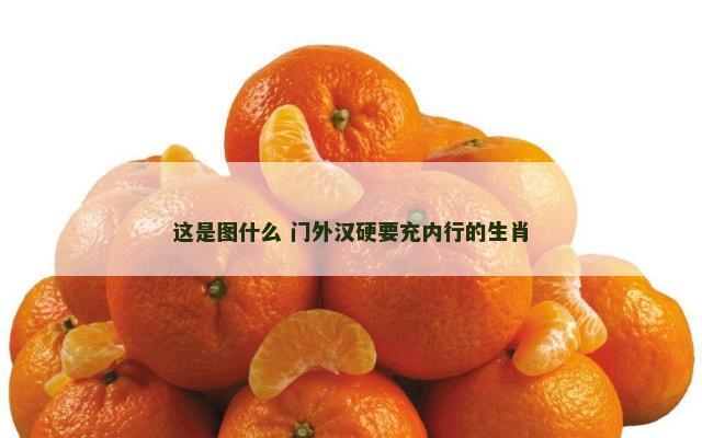 这是图什么 门外汉硬要充内行的生肖
