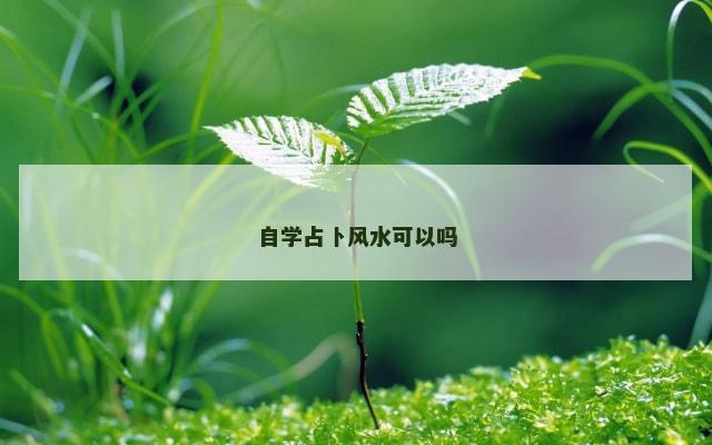 自学占卜风水可以吗