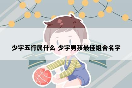 少字五行属什么 少字男孩最佳组合名字