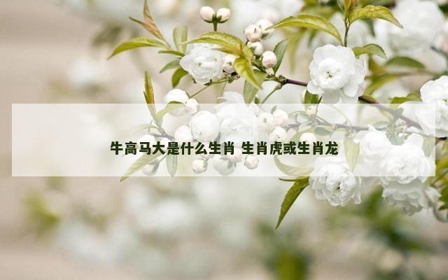牛高马大是什么生肖 生肖虎或生肖龙