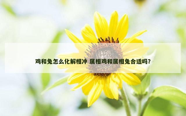 鸡和兔怎么化解相冲 属相鸡和属相兔合适吗？
