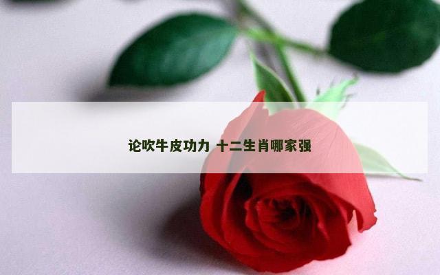 论吹牛皮功力 十二生肖哪家强