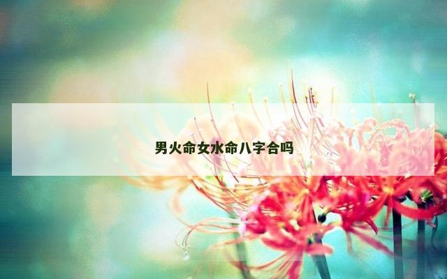 男火命女水命八字合吗
