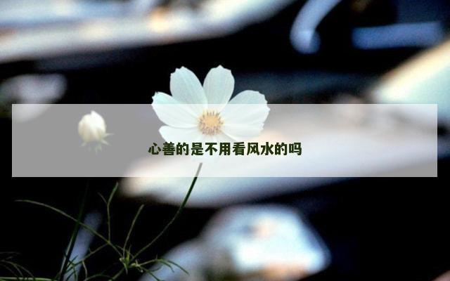 心善的是不用看风水的吗