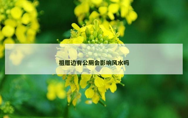 祖厝边有公厕会影响风水吗