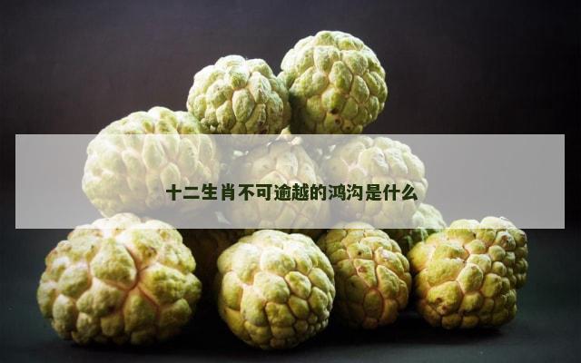 十二生肖不可逾越的鸿沟是什么