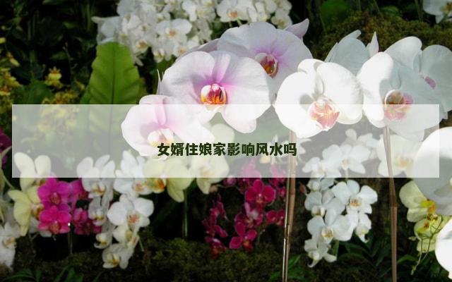 女婿住娘家影响风水吗