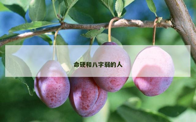 命硬和八字弱的人
